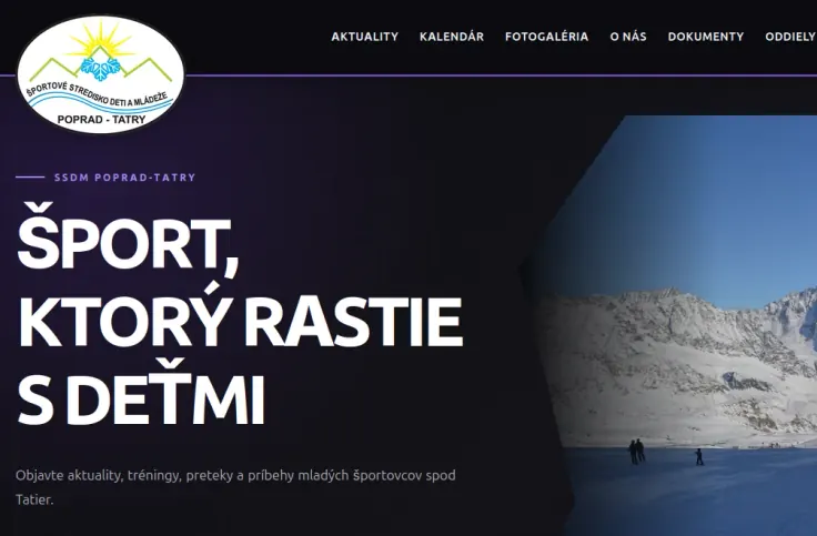 Náhľad projektu Ssdm.sk